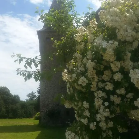 Bed & Breakfast Manoir De La Branche