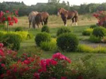 Bed & Breakfast Manoir De La Branche 4*