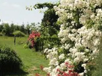 Manoir De La Branche Maen Roch